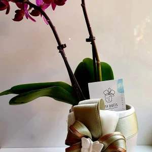 Bomboniera Floreale Orchidea Mini con Vasetto Bianco in Porcellana Lucido Completa di Sacchetto Confetti