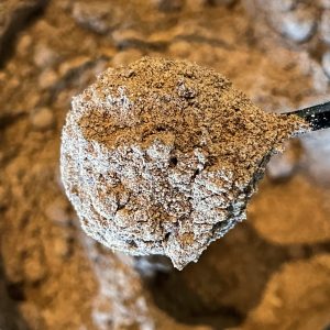 Noce moscata macinata biologica