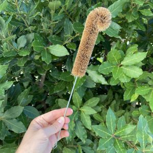 Scovolino in fibra di cocco