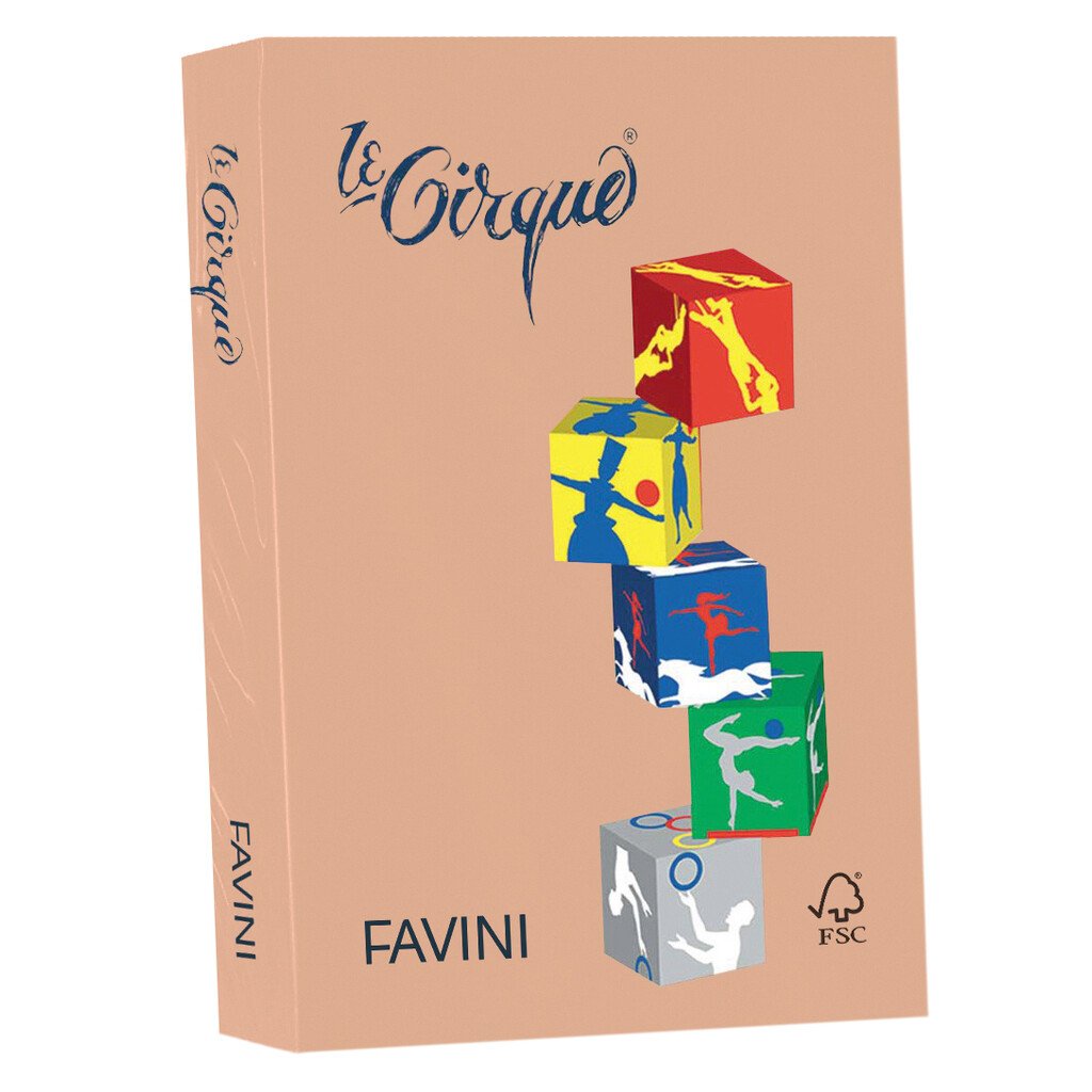 Carta Favini Le Cirque Colori Tenui: salmone 103, 21 X 29.7 cm, 160 g/mq, liscia, 250 fg. - immagine 2