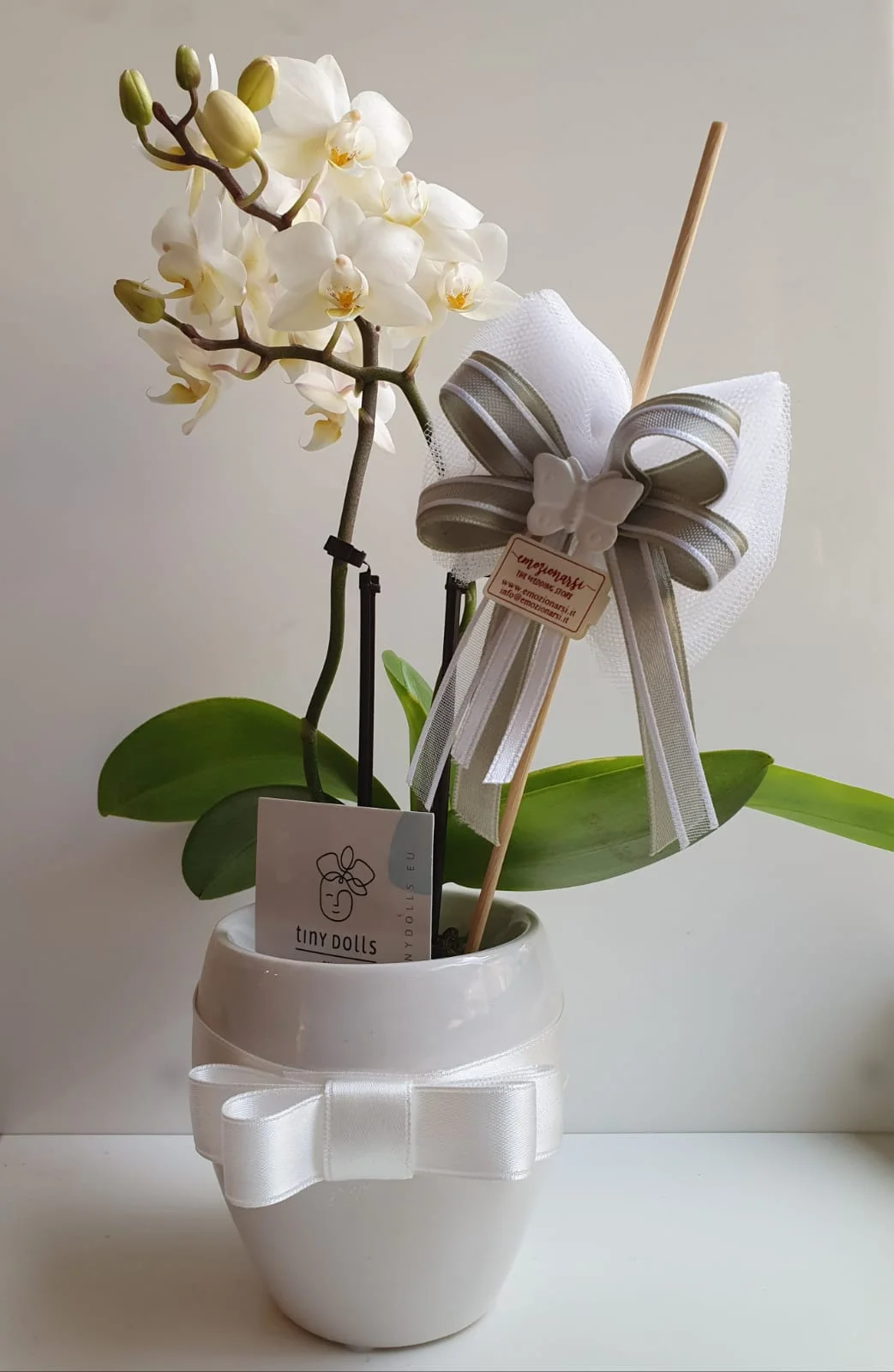 Bomboniera Floreale Orchidea Mini con Vasetto Bianco in Porcellana Lucido Completa di Sacchetto Confetti - immagine 3