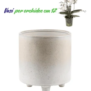 Vasi per orchidee forma cilidro con piedini colore avorio puntinato
