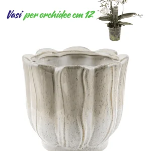 Vasi per orchidee superficie ondulata stile classico elegante colore avorio