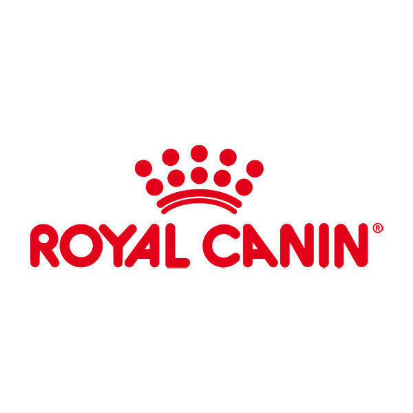 Royal Canin Care Digest Sensitive in salsa per Gatti – Pack 12 pezzi 85g - immagine 3
