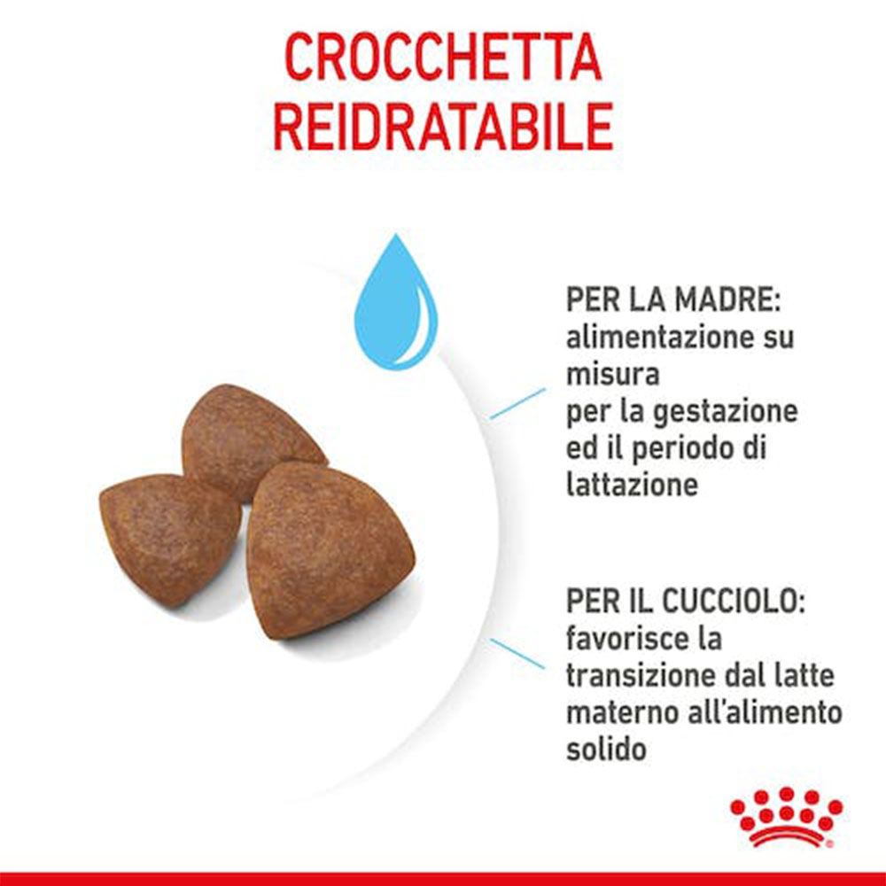 Royal Canin Medium Starter Mother & Babydog Crocchette per Cani - immagine 4