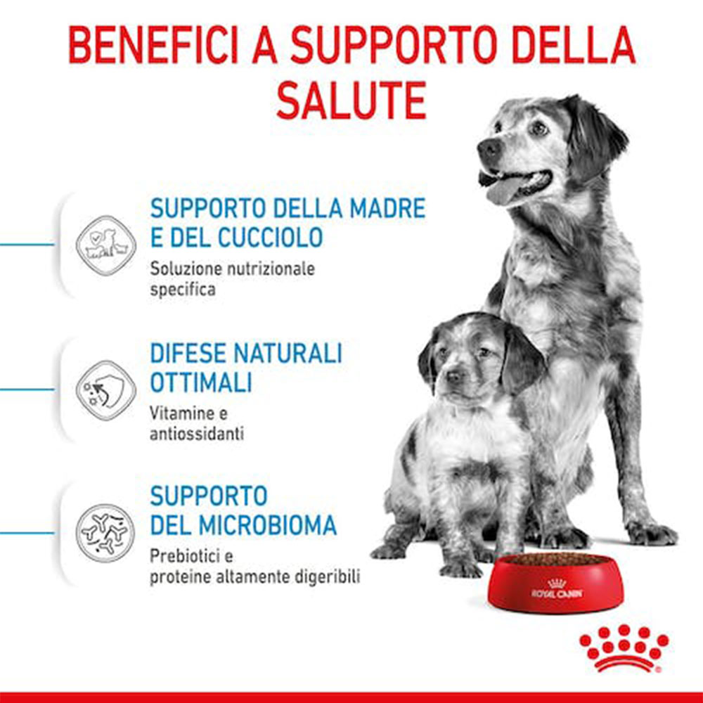 Royal Canin Medium Starter Mother & Babydog Crocchette per Cani - immagine 5