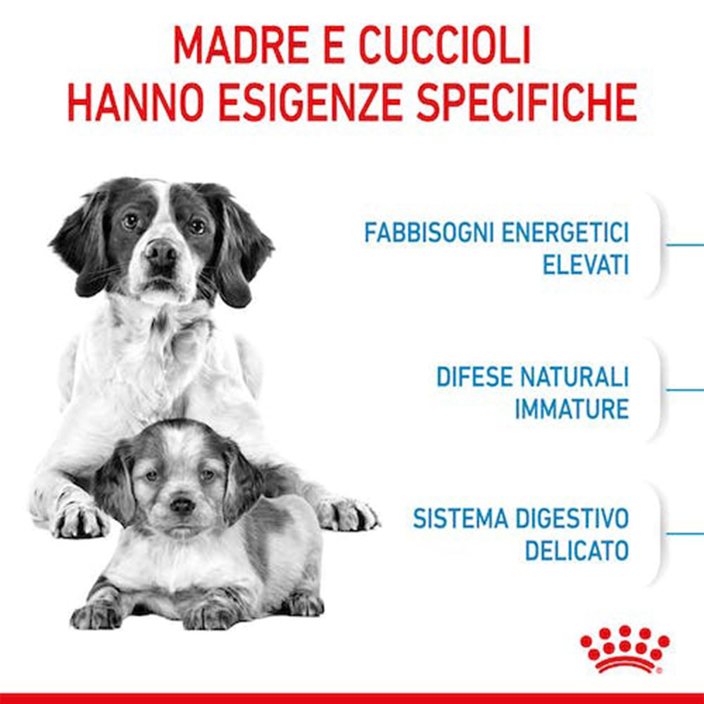 Royal Canin Medium Starter Mother & Babydog Crocchette per Cani - immagine 6
