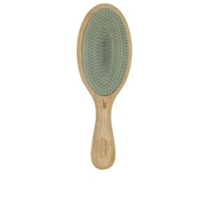 Spazzola Districante – Bamwood