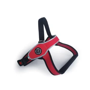 Pett. cani di grossa taglia con dorsale bordo rifr. MIS M ROSSO