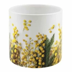 Vaso Orchidea cilindrico decoro Ramo mimosa diametro 13 alto 13 cm