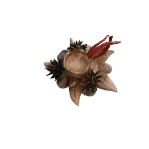 Composizione marina in Capodimonte