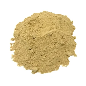 Zenzero Rizoma Polvere