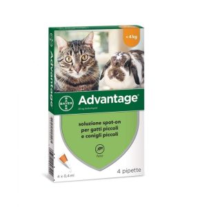 ADVANTAGE SPOT ON 40 GATTO