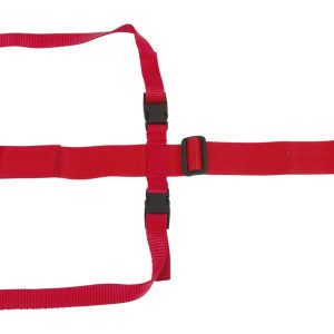 Basto per prolasso uterino