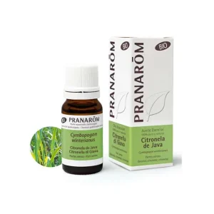 Citronella di Giava Olio Essenziale Bio