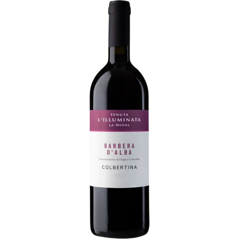 Tenuta L’Illuminata, Barbera d’Alba Colbertina 2021, 750 ml - immagine 2