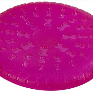 Frisbee ToyFastic