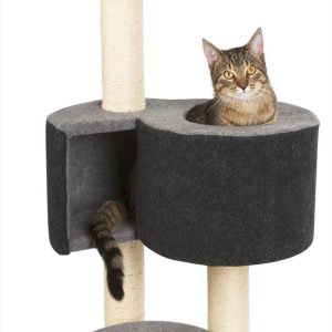 Albero tiragraffi Fridolin