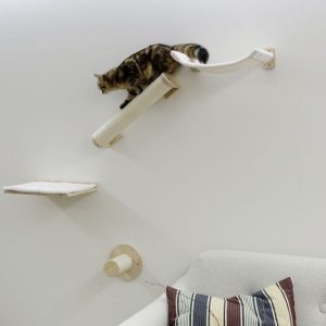 Parete da arrampicata Alps