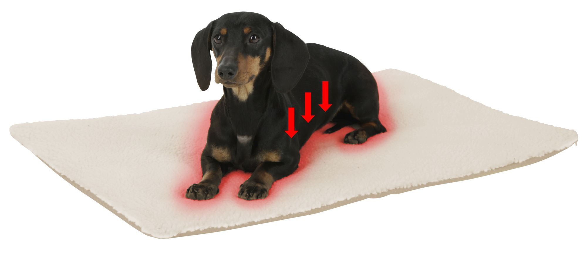 Cuscino da pavimento Theo - immagine 6
