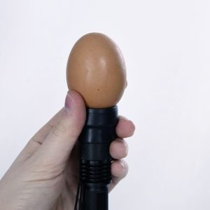 Lampada LED per la speratura delle uova