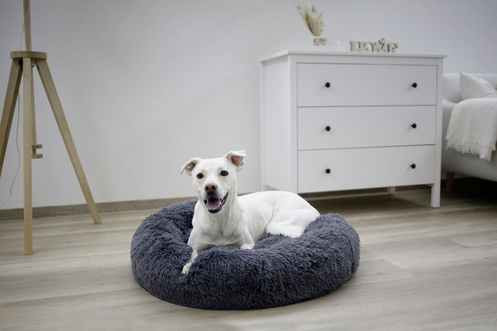 Cuccia morbida per cani Fluffy - immagine 3