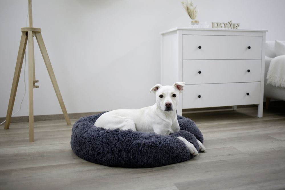 Cuccia morbida per cani Fluffy - immagine 4
