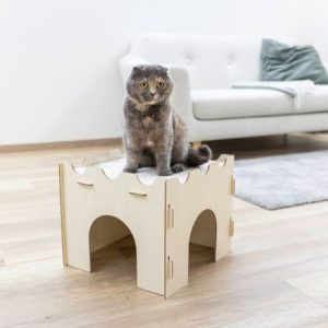 Castello per gatti