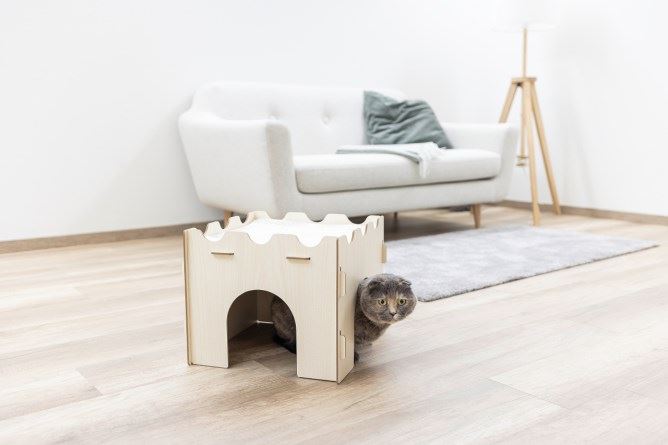 Castello per gatti - immagine 5